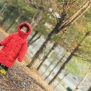 빛카센타 이미지