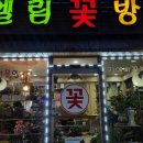 엘림꽃방 - 동작구 상도로 383-1 | 엘림꽃방