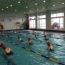 실내수영장 이미지