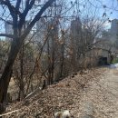 남성5길1 이미지