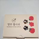 주부쇼핑센타 | 내돈내산 영주 별사과 솔직 후기 껍질째 먹는 미니 사과, 아이들 간식 만족도 최고