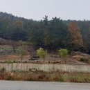 안곡농장 네이버블로그