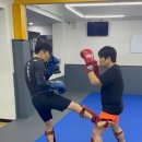 아트주짓수레슬링