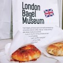 다미야식 이미지