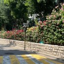 지에스25(GS25) 홍대공원점 이미지