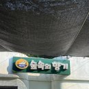 숲향기 - 의정부시 오목로18번길 10 | 담양 숲속의향기 방문 후기｜광주전남 아이와 계곡 물놀이하기 좋은 곳, 다슬기·송사리 잡으며 여름...