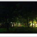 무지개 서는 마을 이미지