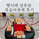 채기농장 | 햇사레 장호원 복숭아 축제 후기 / 아이와 체험 / 복숭아 무료 나눔 / 복숭아 직판장 가격