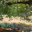 돌담집식당 | 서울 뚜벅이 계곡 백숙 맛집 과천 돌담집식당 내돈내산후기