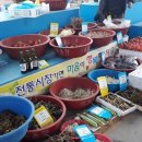 거진전통시장 이미지