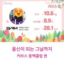 커브스동백클럽