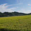 알토란공인중개사사무소 이미지