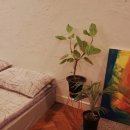 감천17-1 이미지