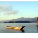 블루향기 이미지