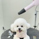 허그몽몽 이미지