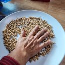 중평회관 이미지