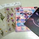 거창초후문 이미지