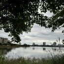 영랑호 카누경기장 이미지