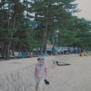 남해-272 이미지