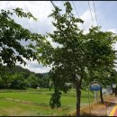 안흥초등학교덕천분교장 이미지