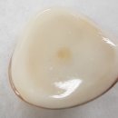 종로의안 이미지