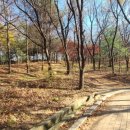 아기소망을 담은 초안산 마을여행 이미지