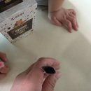 아이홀릭 | 우리아이 소화효소추천, 카카홀릭 키즈 멀티바이오자임 효소 솔직 후기