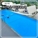 덕동관광펜션농원 | 예산숙소 추천 독보적인 호수뷰 수영장 펜션 예당관광농원 G201 미니독채 후기