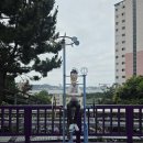 장생포고래문화마을 수국정원 + 장생옛길 (2026-7-4) 이미지