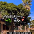 똘내미집 이미지