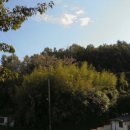 남해농산 이미지