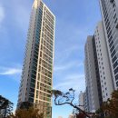 고잔주공8단지 802동 일원 | 개포의 중심!(feat. 디에이치자이개포)