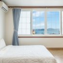 까치와 산토리나 이미지