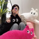 J캣 이미지