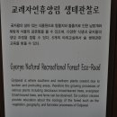 선정반 종강 야유회 사진 모음2 이미지