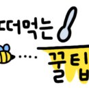 아늑한가 서울한옥 스테이 풀빌라 스파펜션 이미지