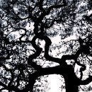 솔향기길 주차장 이미지