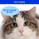 포레스트동물병원 이미지