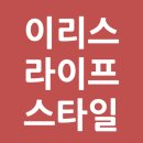 꼬꼬싸롱 | 대전 지족동 치킨전문 꼬꼬싸롱 후기