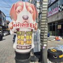 아이러브퍼피카페 | 대구 성서 계대 애견카페 아이러브독도 후기 (대구고양이카페 강아지카페) 🐶💕