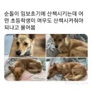 욱이네떡볶이 | 일상인가요? 먹상인가요?