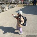 [내돈내산] 블루독베이비 로고 레터링 캡 오렌지, 화이트 후기 및 모자 사이즈 팁
