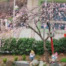 양정현대유치원 이미지