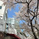 국민간식 쌀떡 이미지