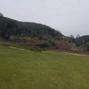 모나크cc 이미지