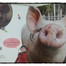 아빠돼지엄마돼지다되지 이미지