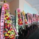 블루스텝 - 30535 | 블루스텝