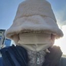 헌열농장 | 알리익스프레스 이용 후기 2탄(잡화 구매 후기)