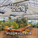 감성가득 천 채색화 | [사천 카페] 식물과 온실 캠핑 감성이 가득한 '모도록' 후기