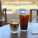 소나무숲 | [소울로스터리] 춘천 대형카페 추천, 소나무 숲 뷰 맛집 재방문 후기